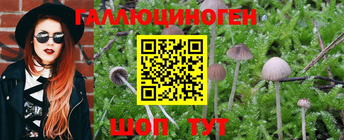 Галлюциногенные грибы мухоморы Фролово