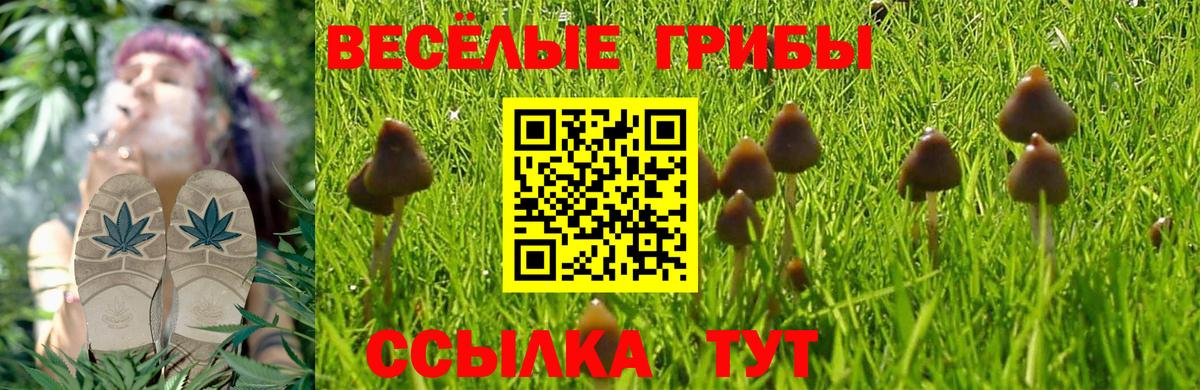 Псилоцибиновые грибы Magic Shrooms  Вход с VPN  Фролово  Галлюциногенные грибы прущие грибы 
